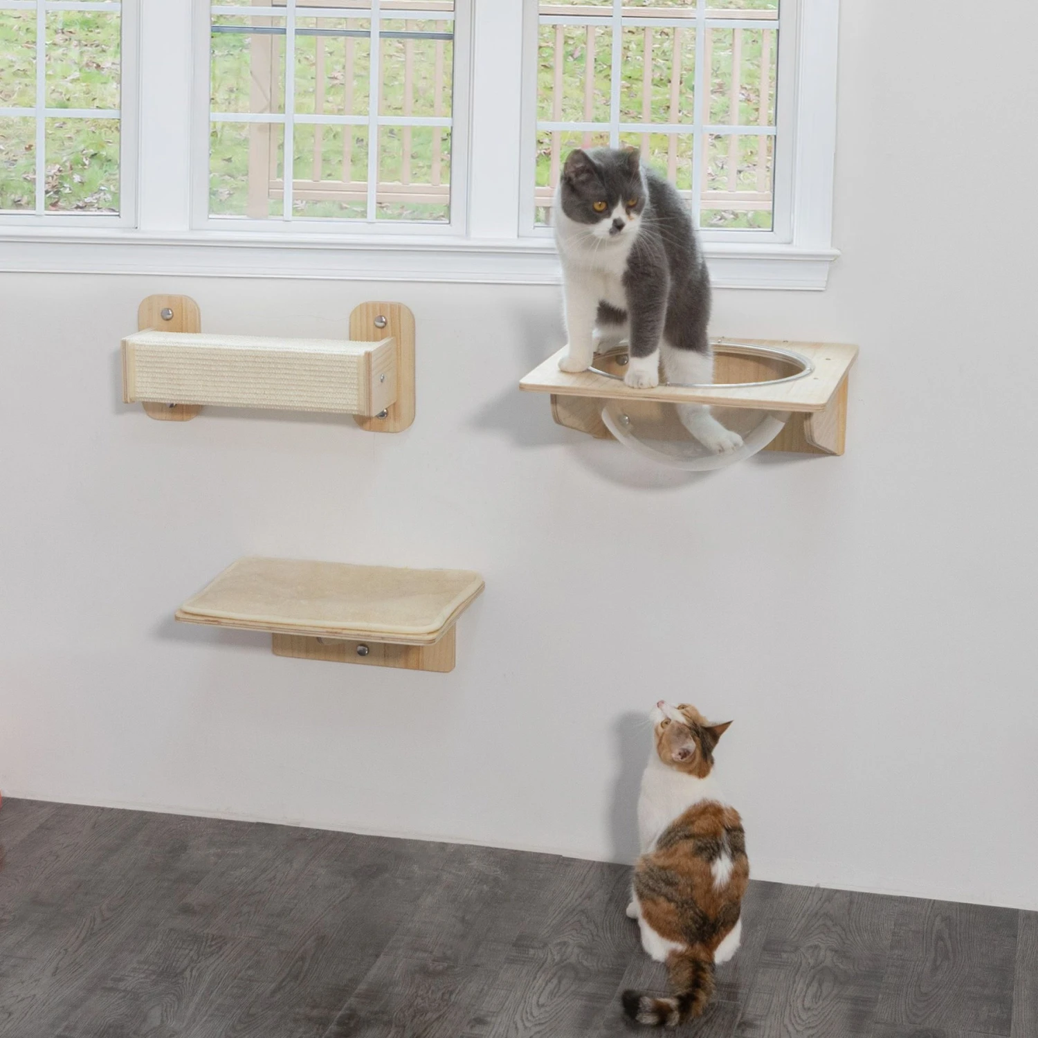 Coziwow 3 Pieces Wall Mounted Cat Perch Set 6 Coziwow 3 Pieces Wall Mounted Cat Perch Set - Image 6