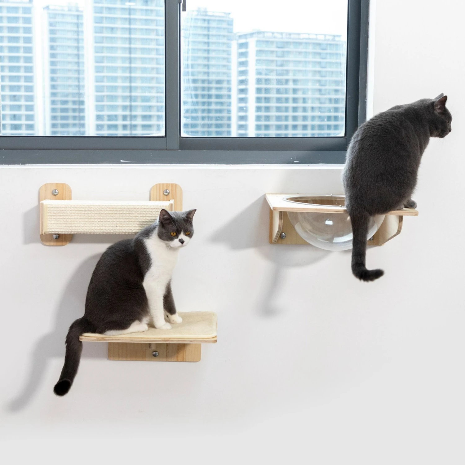 Coziwow 3 Pieces Wall Mounted Cat Perch Set 7 Coziwow 3 Pieces Wall Mounted Cat Perch Set - Image 7