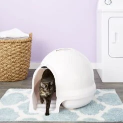 Booda Dome Cleanstep Litter Box & Petmate Booda Litter Box Charcoal Air Filters 13 Booda Dome Cleanstep Litter Box & Petmate Booda Litter Box Charcoal Air Filters -Mewhaus Shop 947510 PT4. AC SS1800 V1693925089