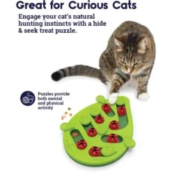 Nina Ottosson By Outward Hound Buggin' Out Puzzle & Play Cat Toy & Doc & Phoebe's Cat Co. Indoor Hunting Cat Feeder Kit -Mewhaus Shop 947542 PT4. AC SS1800 V1693925091