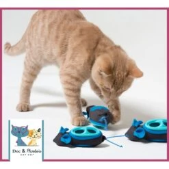 Nina Ottosson By Outward Hound Buggin' Out Puzzle & Play Cat Toy & Doc & Phoebe's Cat Co. Indoor Hunting Cat Feeder Kit -Mewhaus Shop 947542 PT8. AC SS1800 V1693600221