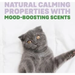 Naturally Fresh Harmony Lavender & Bamboo Scented Clumping Cat Litter -Mewhaus Shop 961182 PT4. AC SS1800 V1697727174