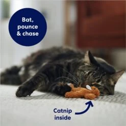 Frisco Squirrel Plush Cat Toy With Refillable Catnip & Frisco Bird With Feathers Teaser Wand Cat Toy With Catnip -Mewhaus Shop 962030 PT3. AC SS1800 V1694783954